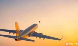 飞机坠机爆料视频播放大全,飞机坠机爆料视频大盘点